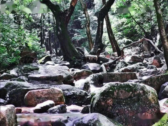 特战英雄