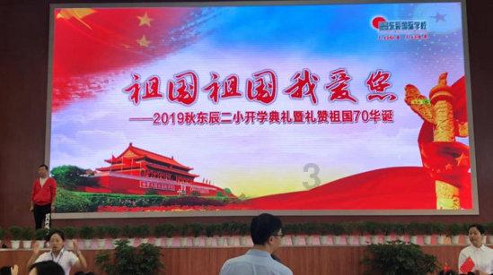 寻找萌小老虎